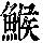 《康熙字典》