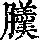 《康熙字典》